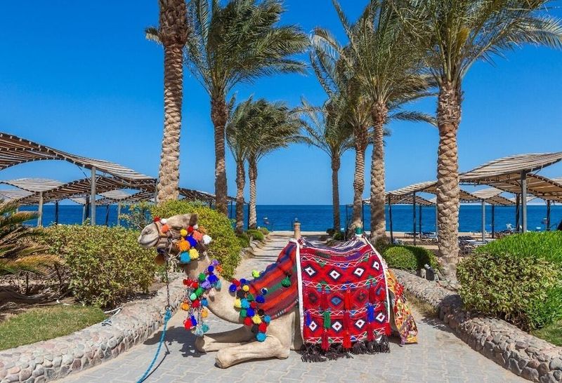 Sphinx Aqua Park Beach Resort - Image 4