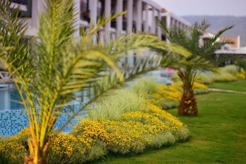 Jiva Beach Resort - Image 7