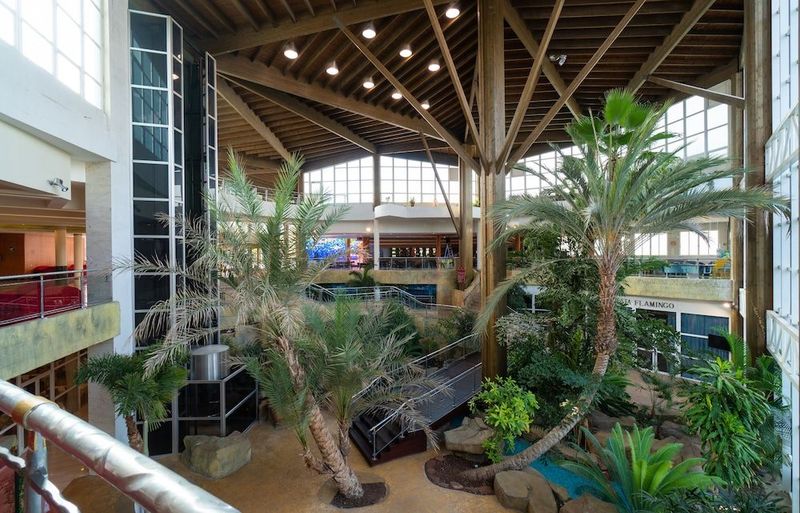 Hotel Flamingo Oasis - Image 10