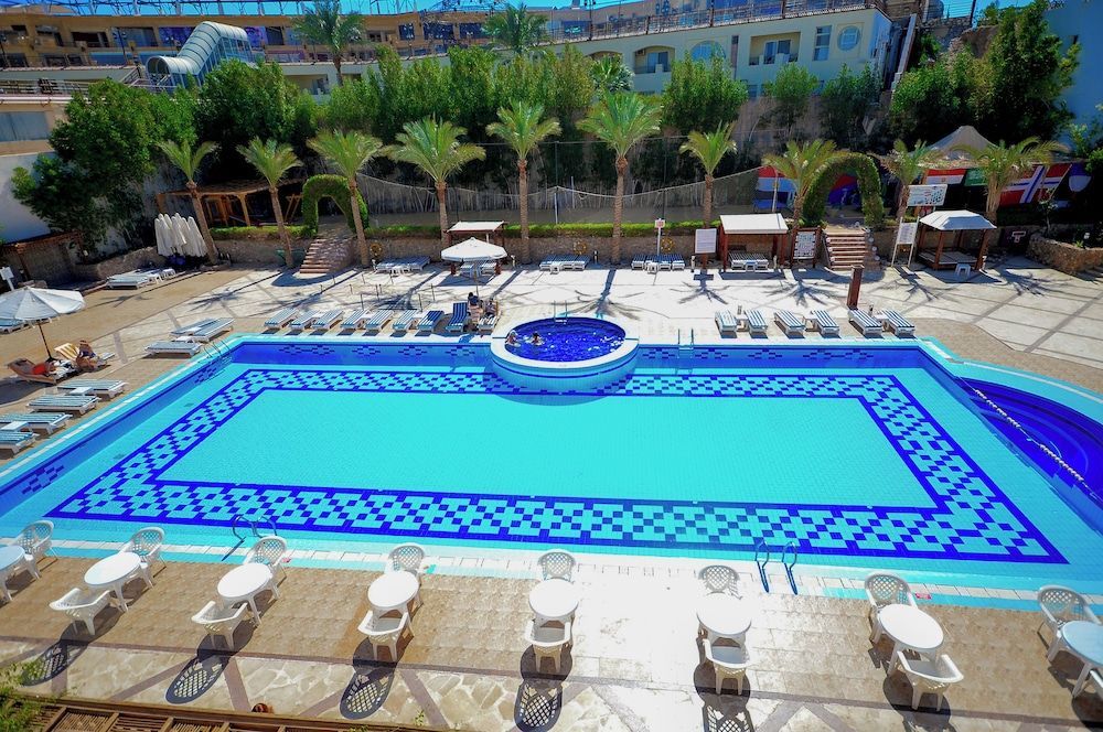 Falcon Naama Star - Image 6