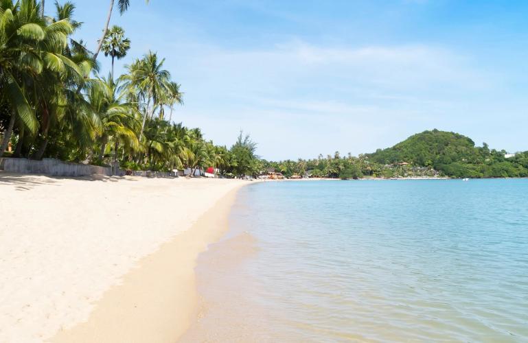 Langstrakt hvit sandstrand med palmer og krystallklart vann i Bophut Beach på Koh Samui i Thailand