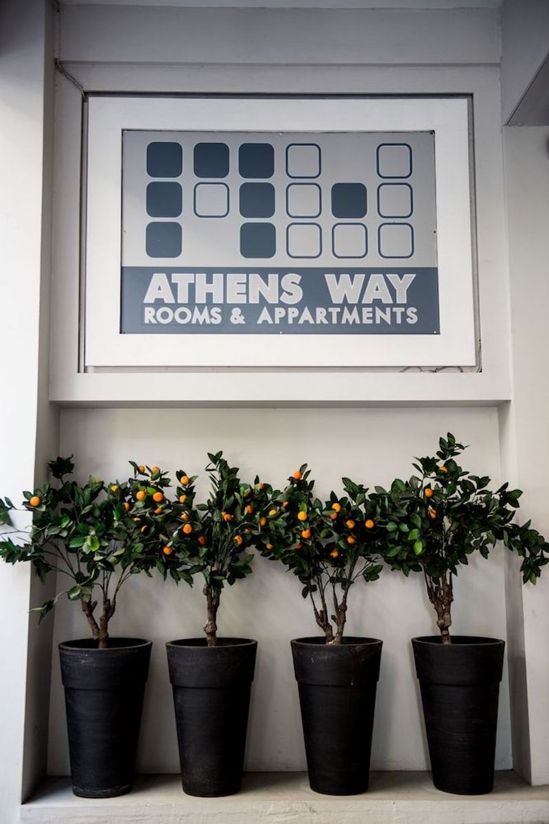 Athens Way - Image 9