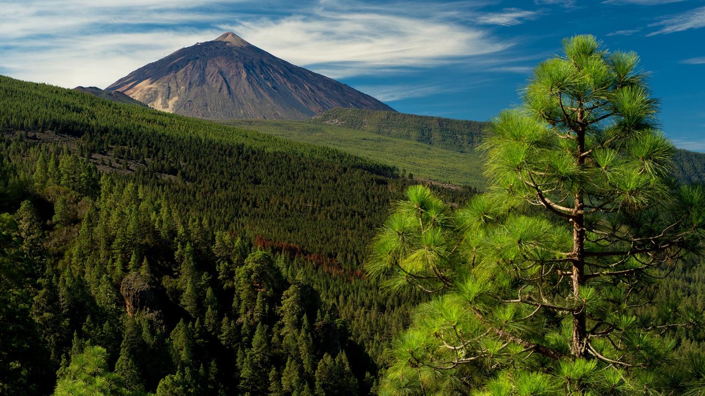 Bildet viser vulkanen Teide på Tenerife. Omringet av grønne og skogkledde åser.
