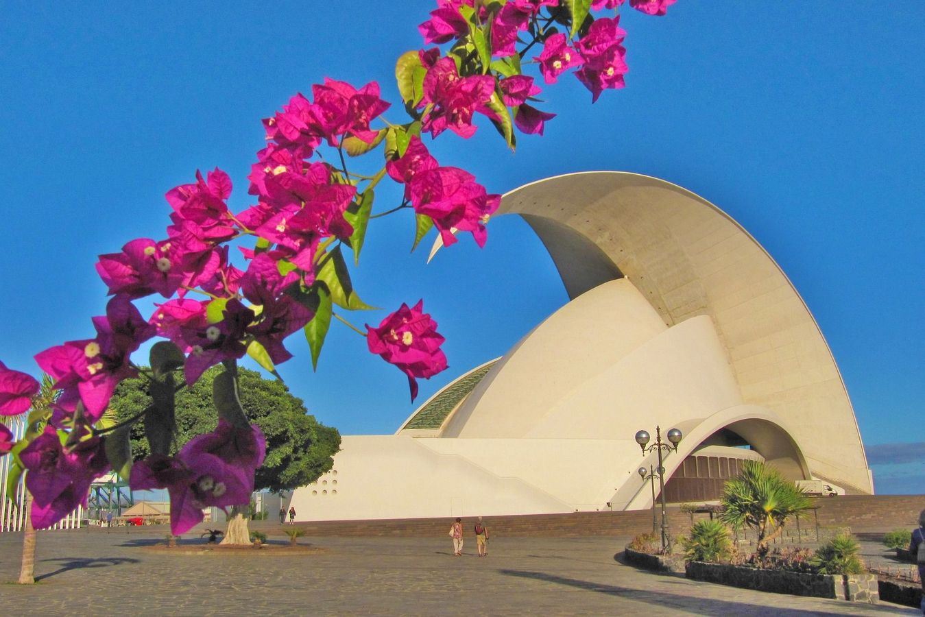 Kultur- og konserthuset Auditorio de Tenerife i Santa Cruz på Tenerife