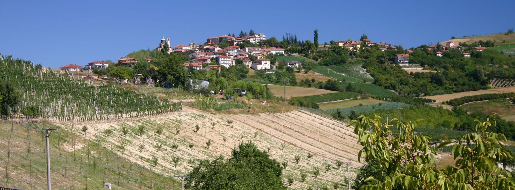 Dogliani ligger i hjärtat av vinregionen Langhe i Piemonte, Italien.
