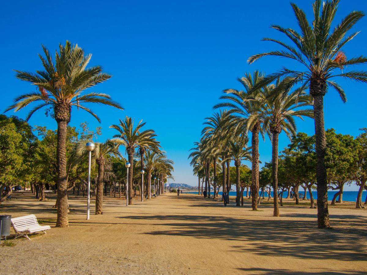 Promenade langs stranden med palmer på sidene og et klart blått hav i bakgrunnen