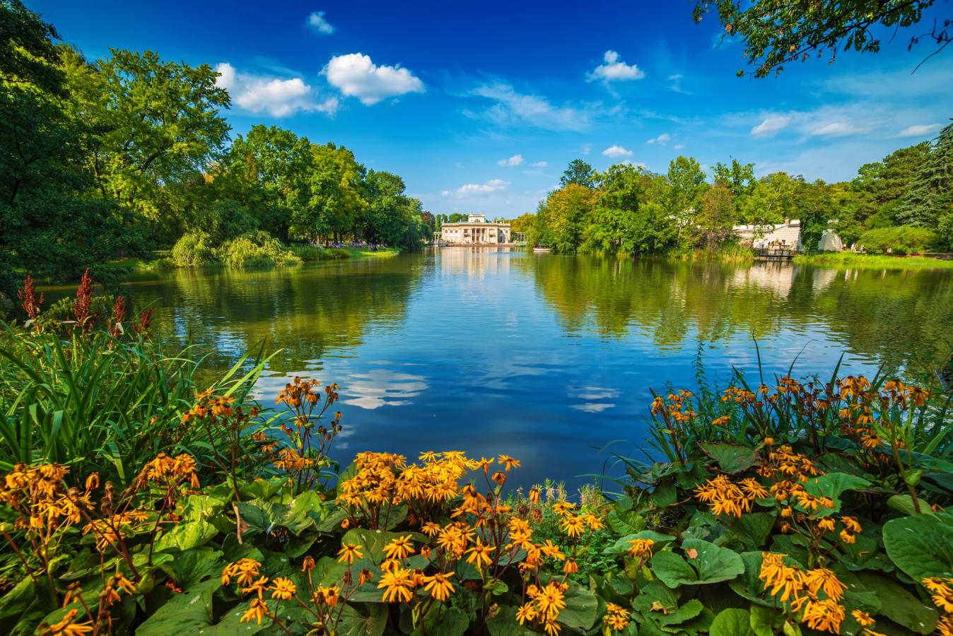 Billedet viser den største park i Warszawa, Lazienki-parken. Forrest og midt i billedet ser vi en række blomster, før en sø i parken breder sig ud. Rundt om vandet, på begge sider, er der frodig beplantning, og længst inde i billedet, for enden af søen, skimter vi en slotsbygning.