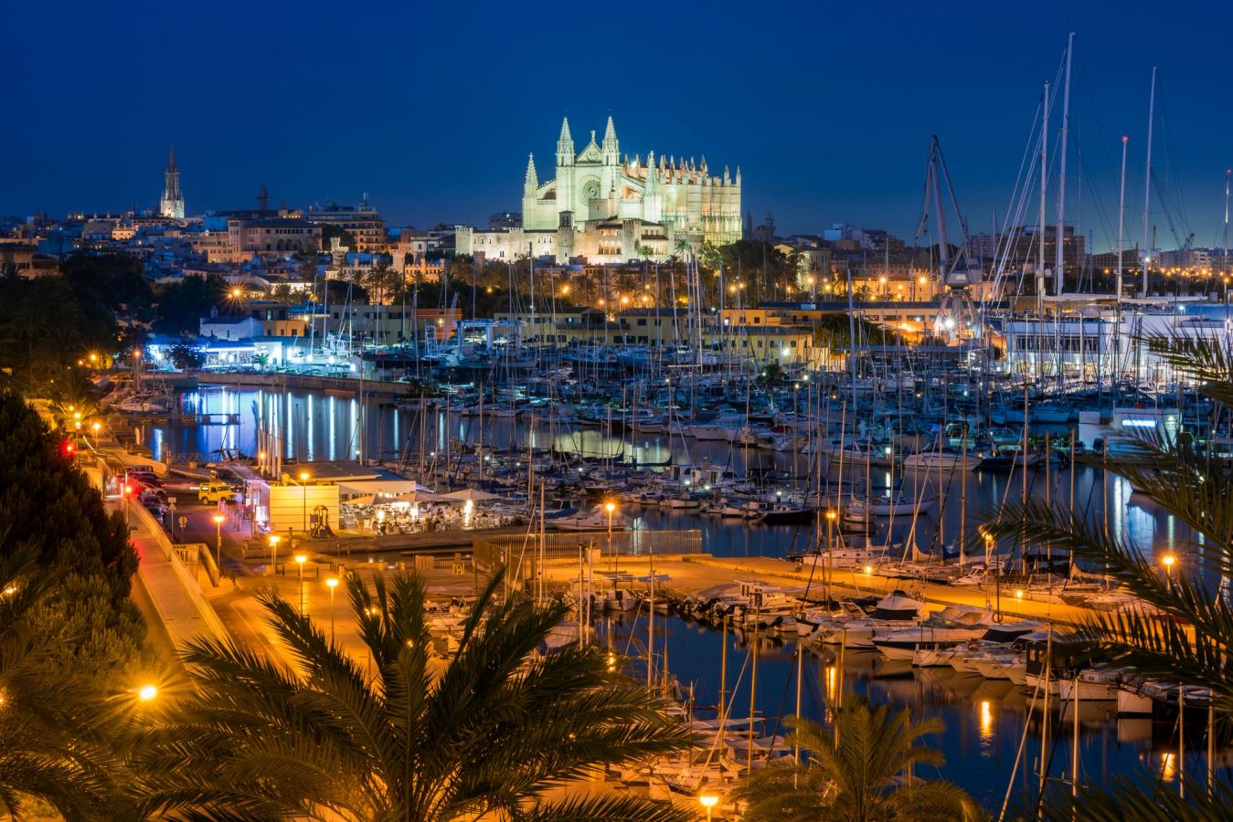 Kveldslys over katedralen og småbåthavnen i Palma by på Mallorca