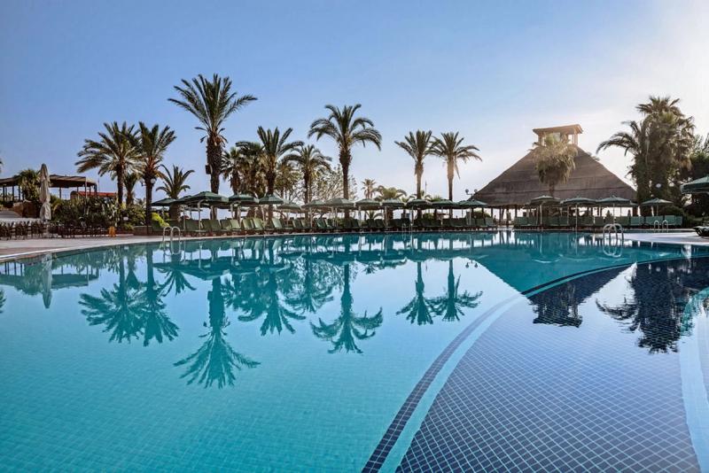 Gypsophila Club Marine - Image 5