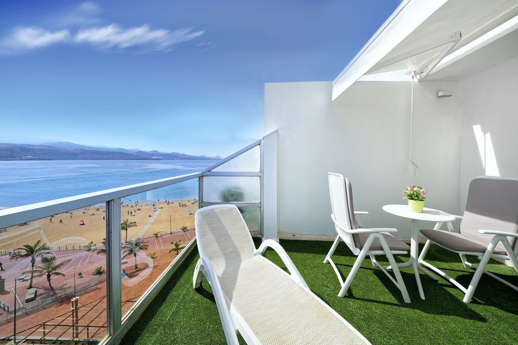 Aloe Canteras - Image 3