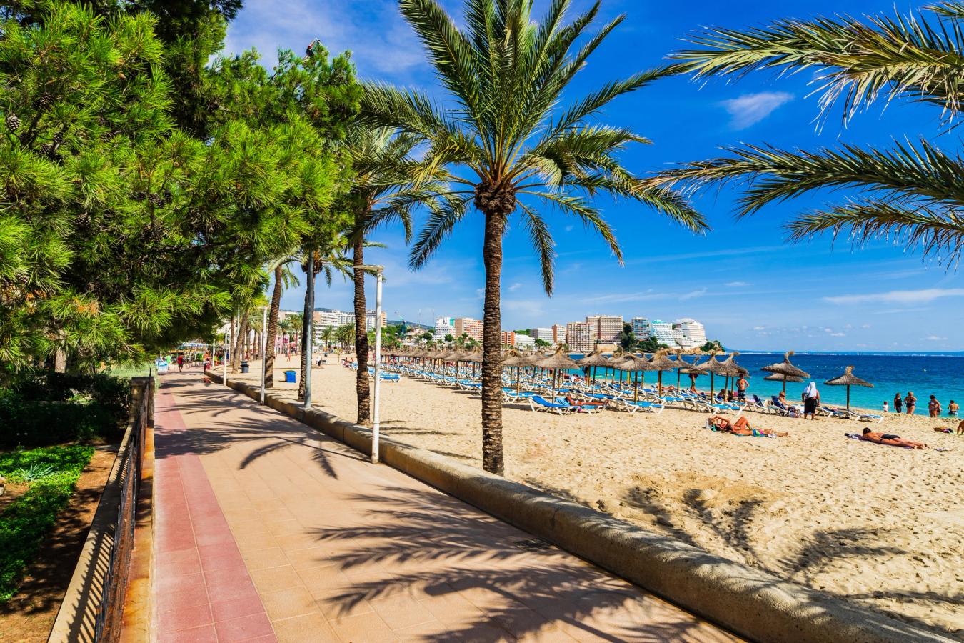 Billedet viser strandpromenaden med palmer langs stranden i Magaluf på Mallorca.