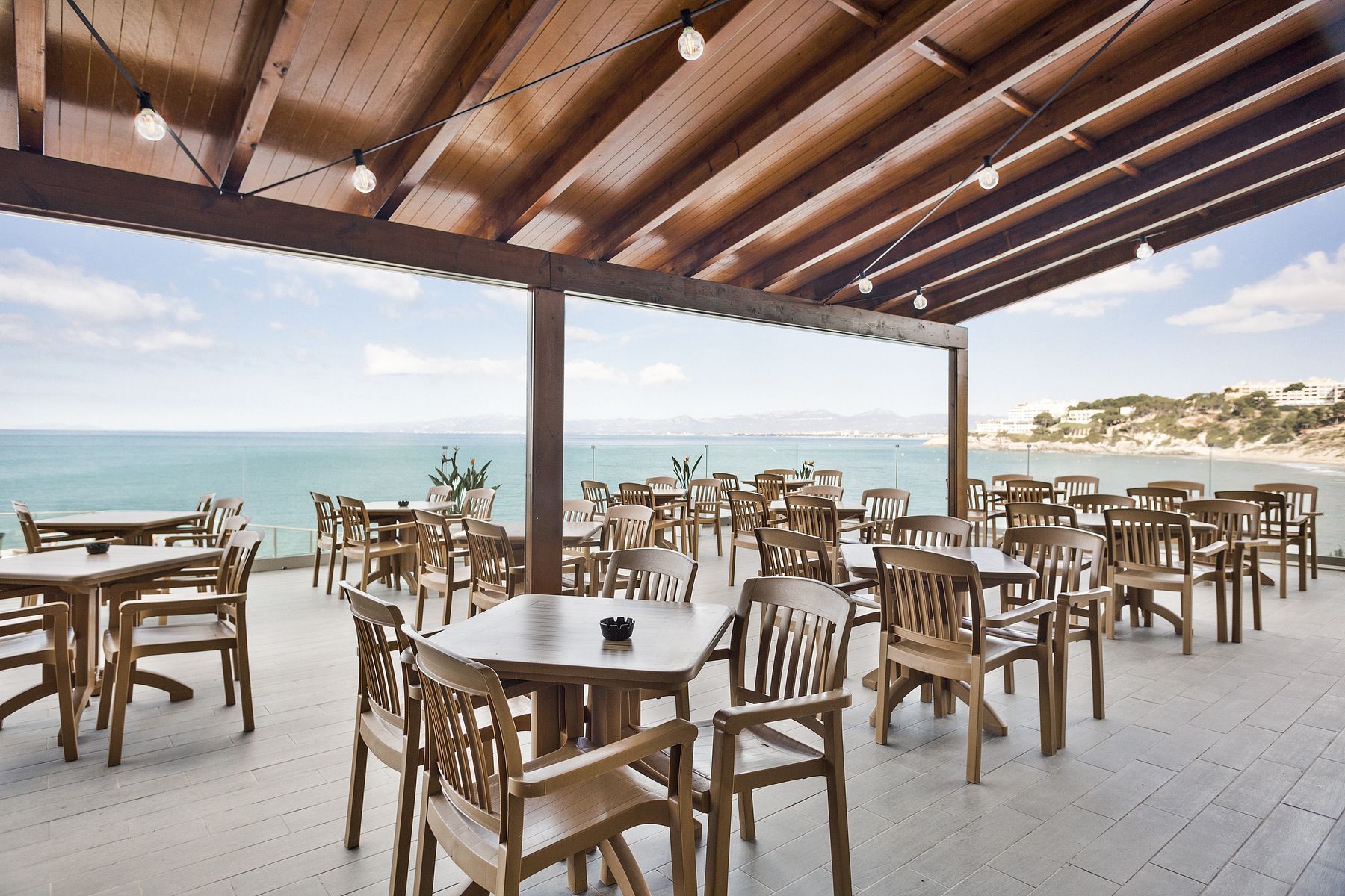 Best Negresco - Image 9