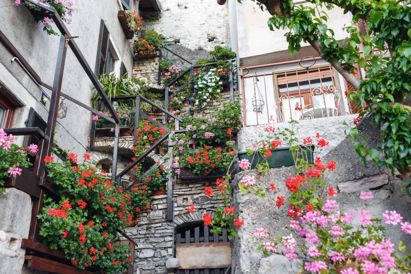 Gamlebyen med fargerike blomster i Limone sul Garda ved Gardasjøen