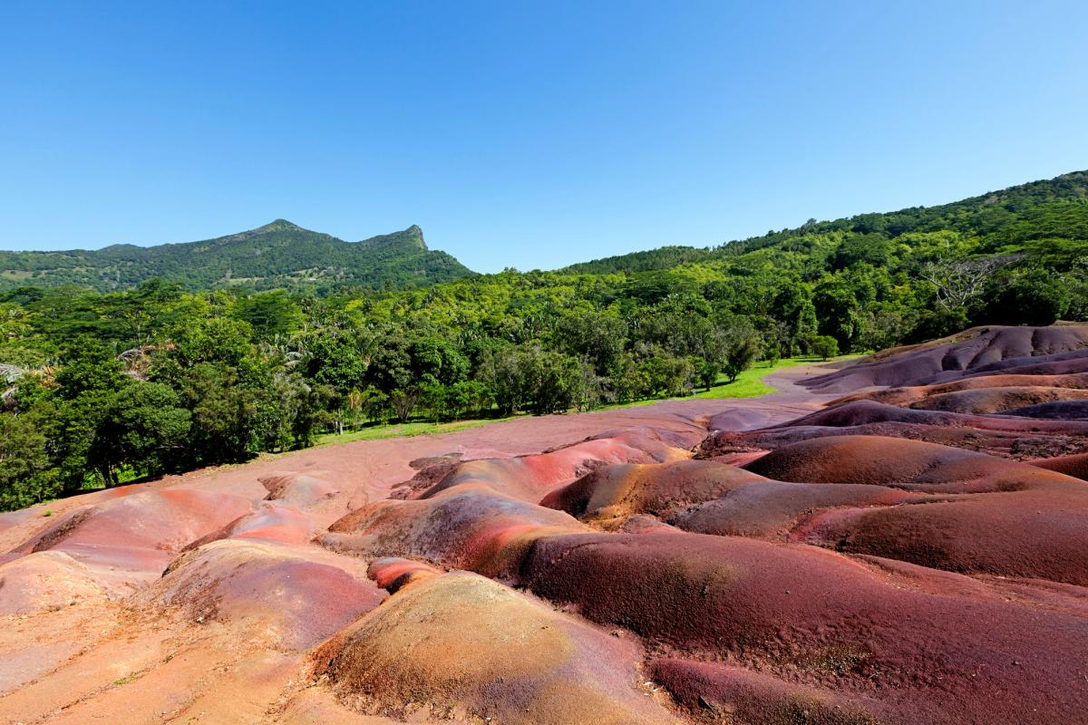 Farvestrålende og bølgende klitter i røde og lilla nuancer ved de Syv Farvede Jordarter i Chamarel på Mauritius, omgivet af grøn vegetation under en klar blå himmel.