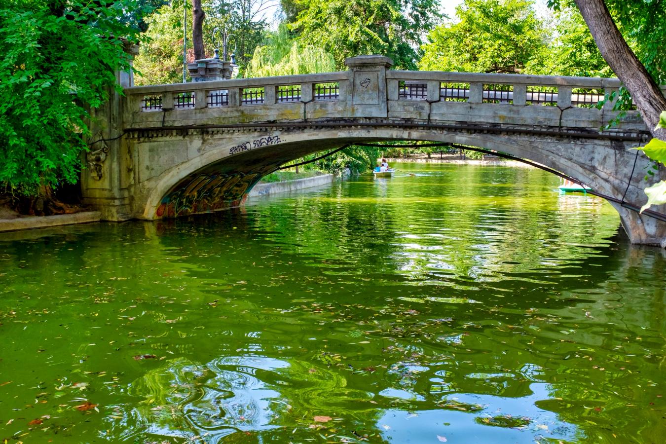 Billedet viser en lille bro over en mindre grøn flod, der løber gennem parken Cișmigiu Gardens