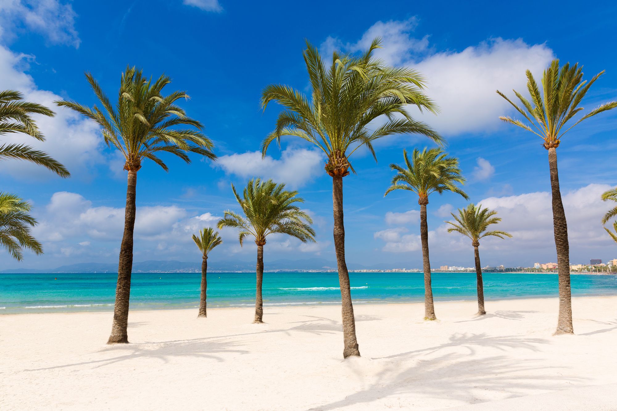 Her fra stranden Playa S' Arenal i El Arenal. Du kan se den fine, næsten hvide sandstrand, hvor der vokser palmer, og hvor stranden ender i krystalklart vand. Langt inde i billedet kan man se byen Playa de Mallorca i horisonten. Himlen er blå med spredte skyer.