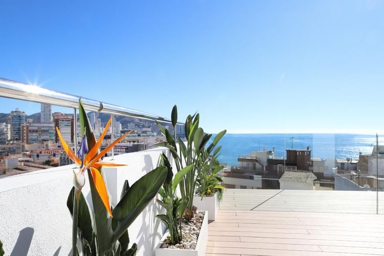 Hotellbilder av Hotel Alameda - nummer 1 av 10