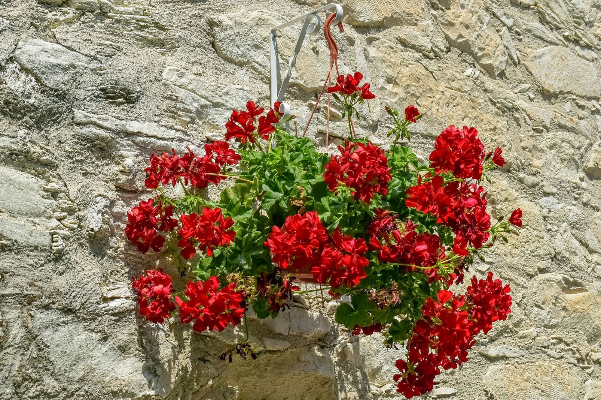 Velkommen til Agios Ioannis Peristeron