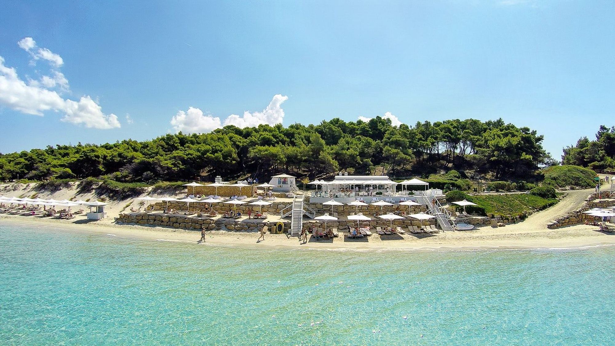 Utsikt över härlig sandstrand med solstolar omgiven av pinjeskog i Halkidiki, Grekland