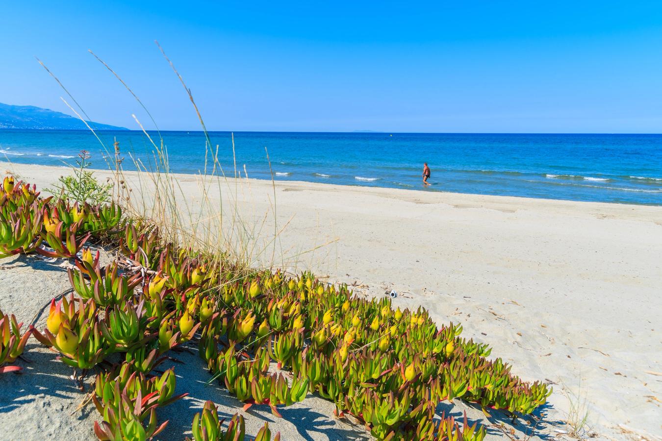 Billedet viser en strand ved Bastia på Korsika. Her ser man det blå Middelhav med roligt vand og den lyse finkornede strand. Langs vandkanten går der en mand. Himlen er skyfri. 
