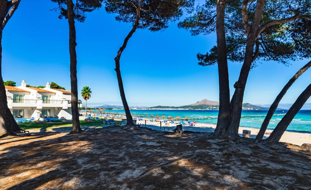 Utsikt mellom noen trær, ut mot stranden Playa Muro med krystallklart vann i bakgrunnen. Fra Alcudia på Mallorca