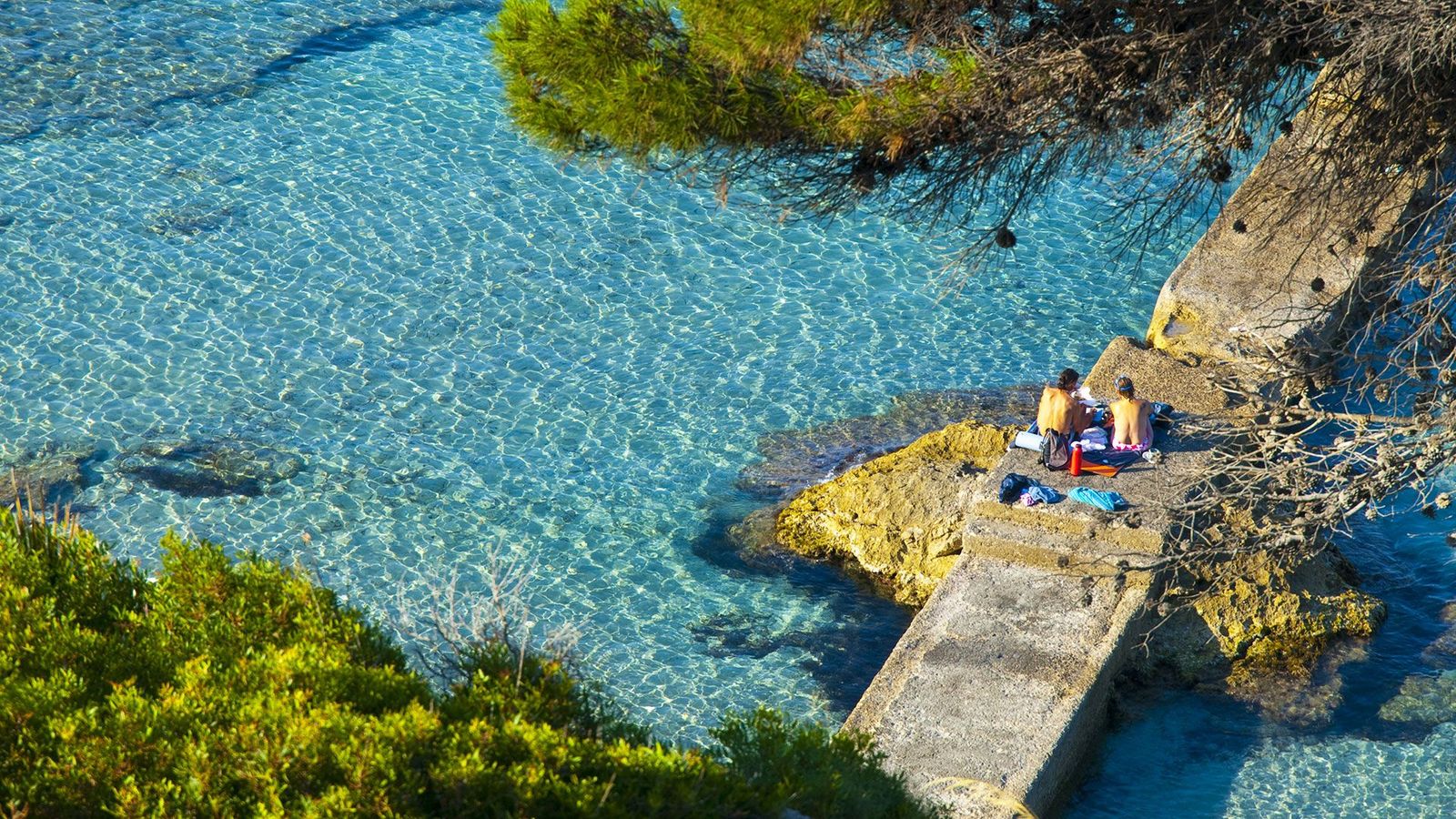 Piknik langs kysten i Camp de Mar omringet av krystallblått hav og grønne trær