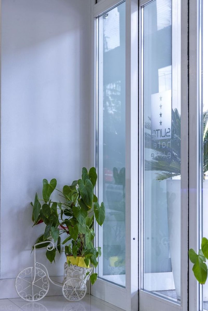 Suite Elite - Image 7