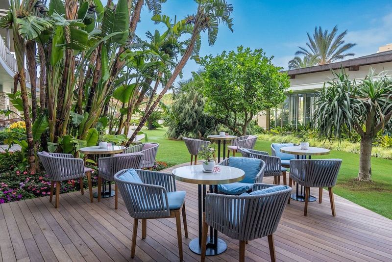 Barut Lara Collection - Image 8