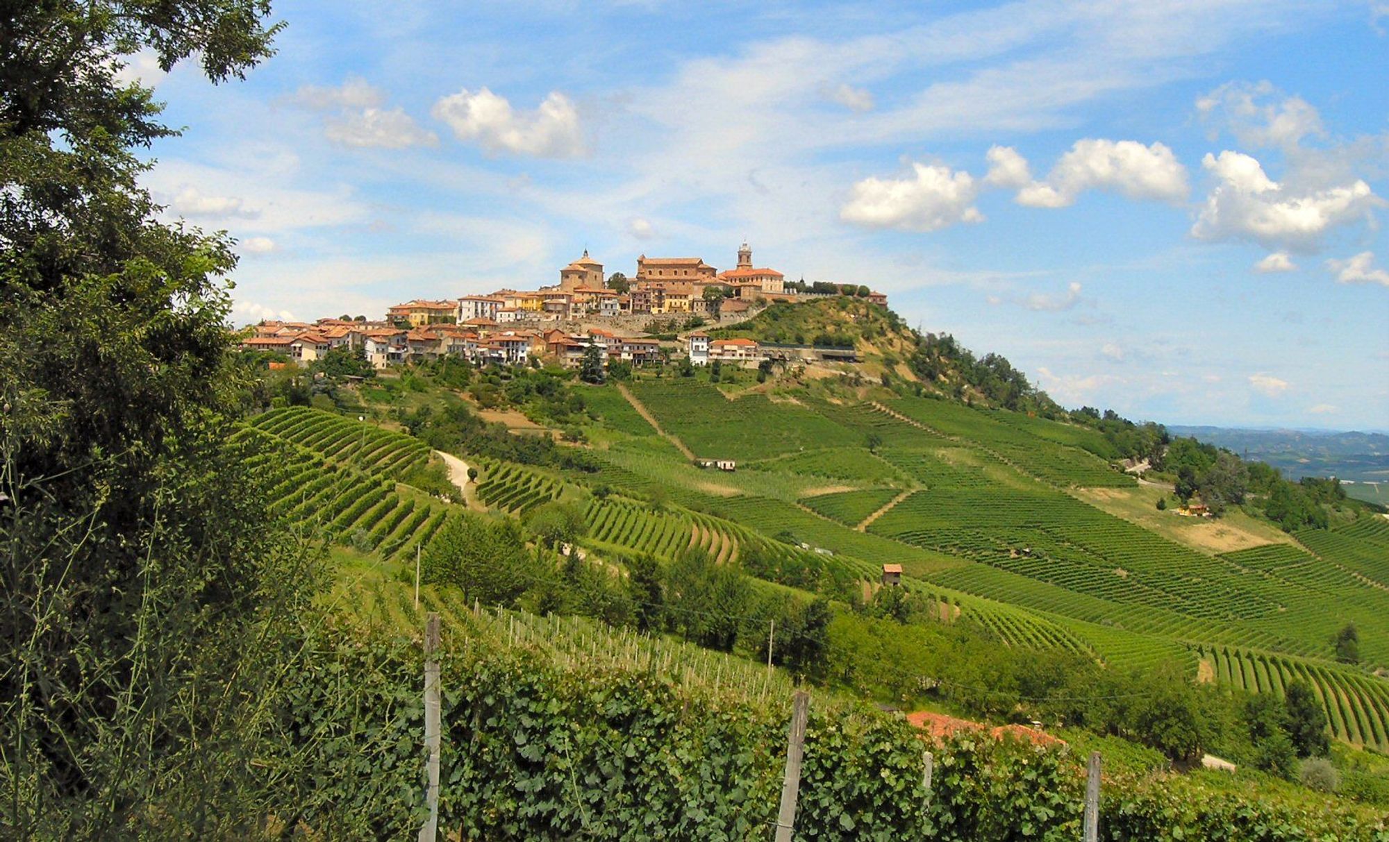 Utsikt til La Morra og vinmarkene rundt i Piemonte