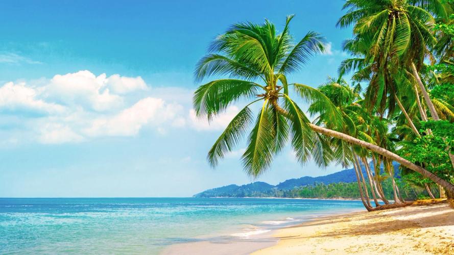 Vakre strender, palmer og azurblått hav på Koh Samui i Thailand