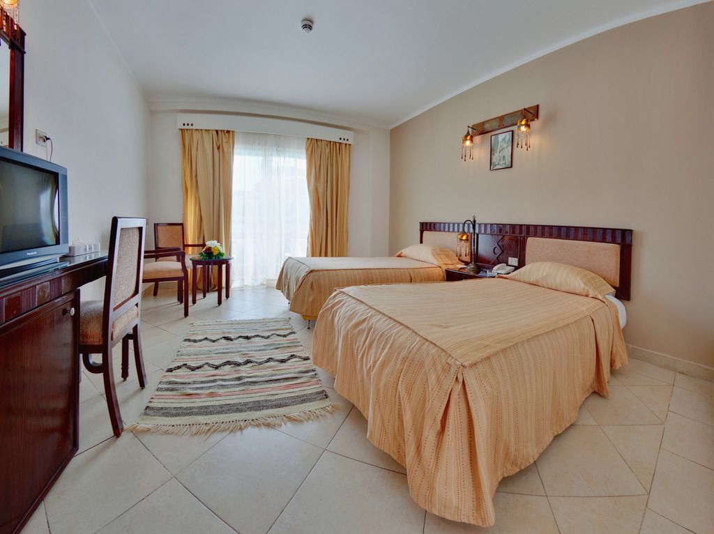 Falcon Naama Star - Image 5