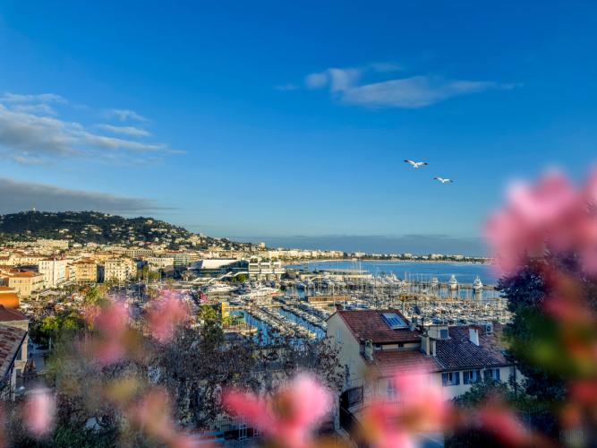 Utsikt over båthavnen i Cannes på den franske riviera