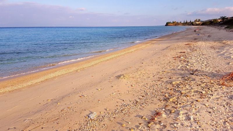 Roditsa Patritsia - Image 8