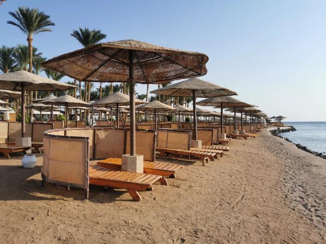 Dejlig sandstrand med liggestole, parasoller og palmer i Makadi Bay ved Det Røde Hav i Egypten