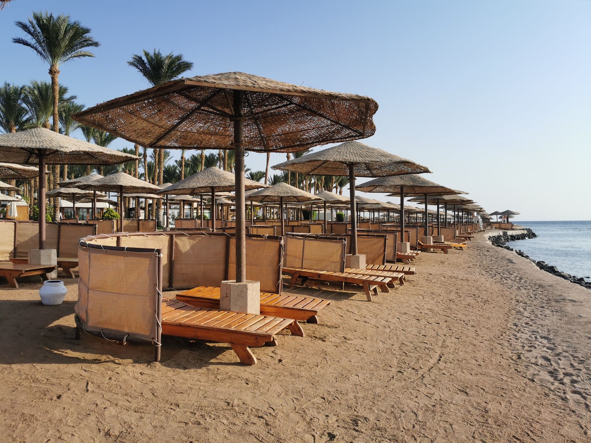 Dejlig sandstrand med liggestole, parasoller og palmer i Makadi Bay ved Det Røde Hav i Egypten
