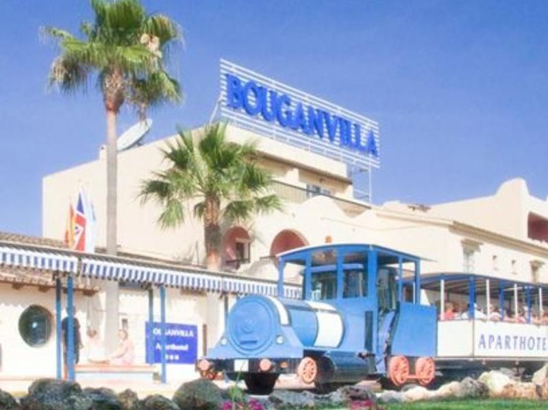 Globales Bouganvilla - Image 6