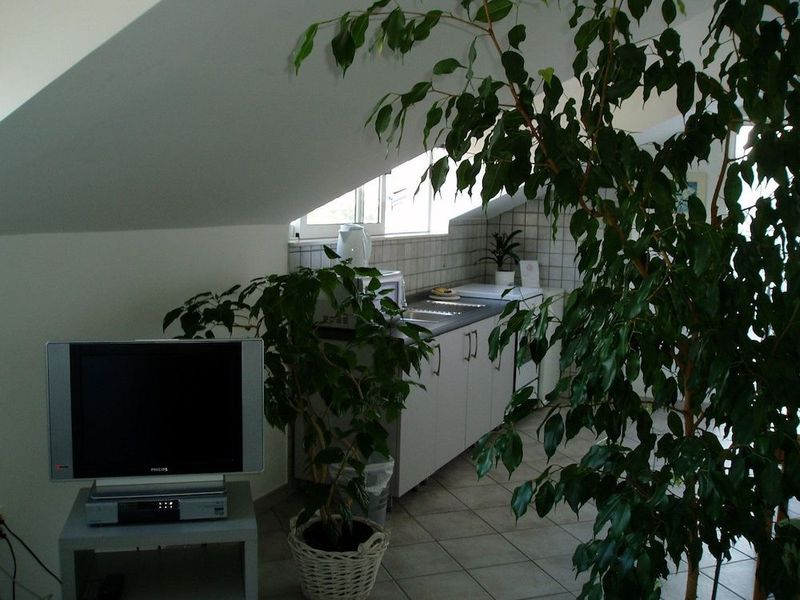 Pink Inn - Image 4