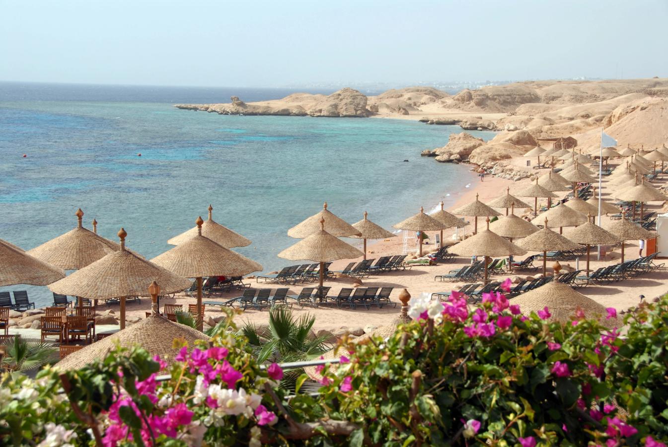 Udsigt over en smuk sandstrand med solsenge og parasoller i Sharm el-Sheikh, Egypten