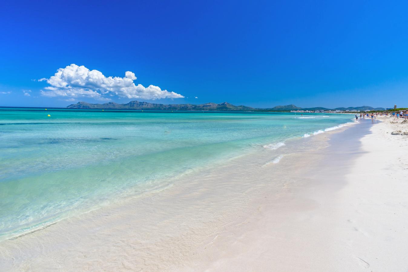 Et billede af en langstrakt strand med krystalklart vand i Alcudia på Mallorca