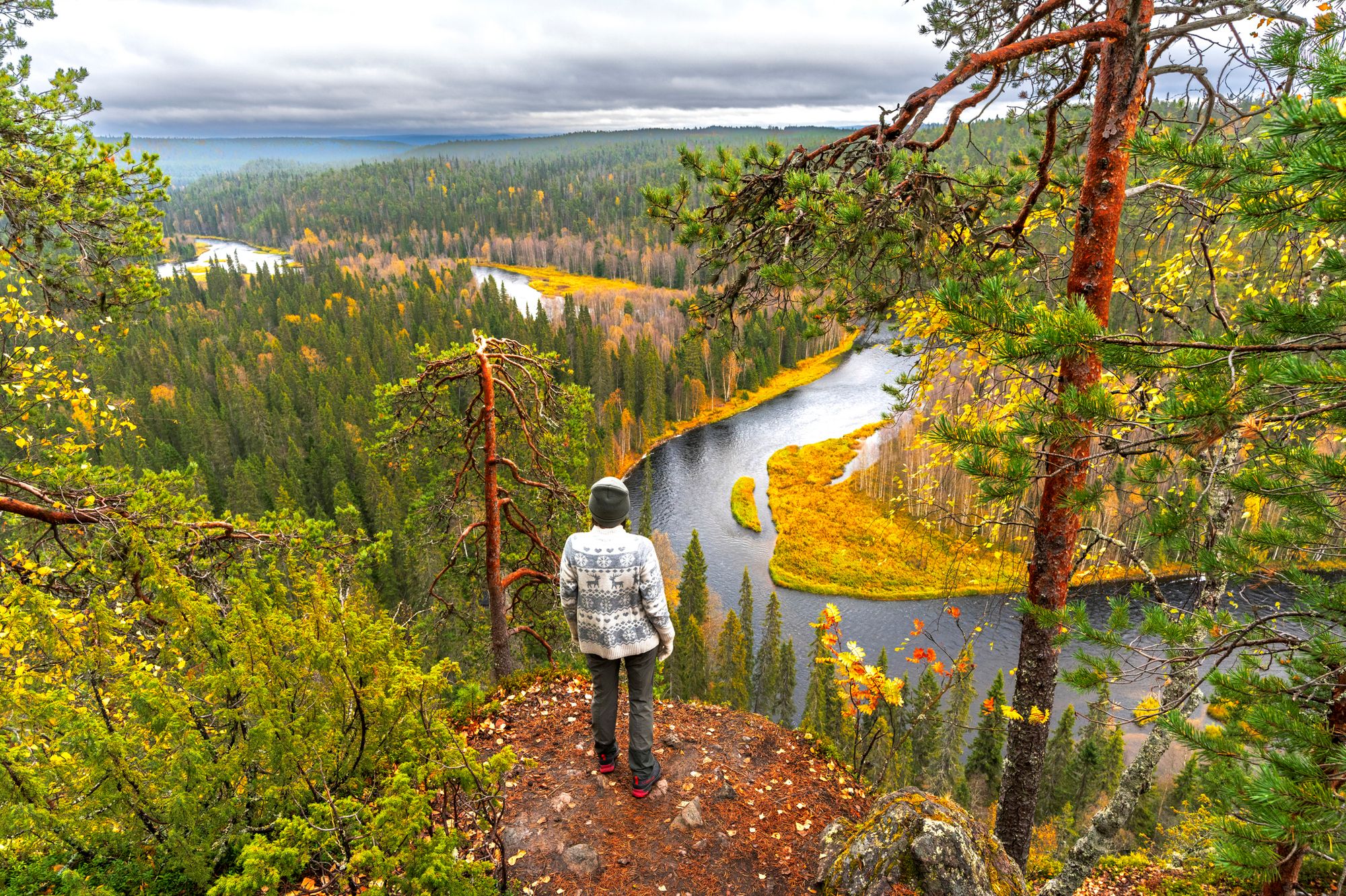 Utsikt over skog, elv og sjø - Finland - de tusen sjøers land