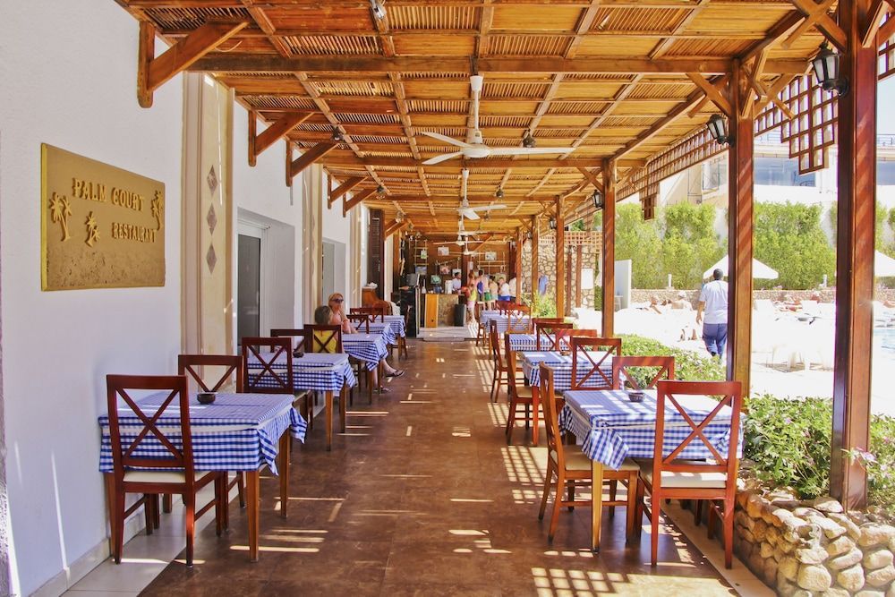 Falcon Naama Star - Image 7