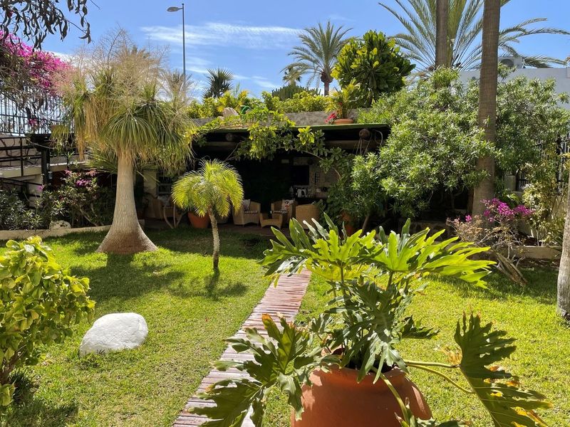 Alsol Nogal - Image 2