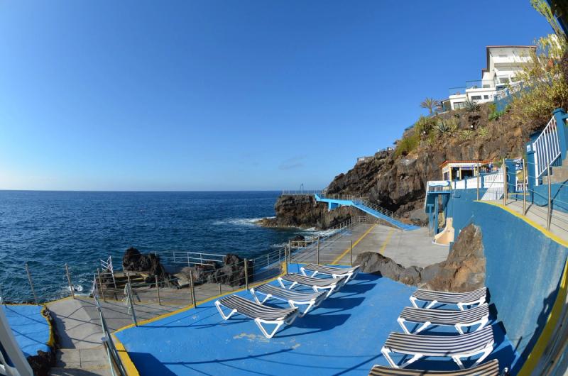 Royal Orchid - Image 5