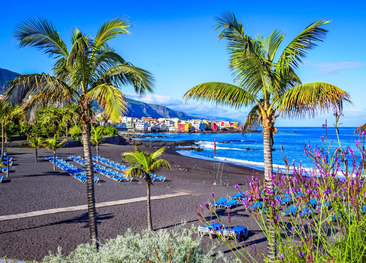 Bildet viser den svarte stranden Playa Jardin ved Puerto de la Cruz. Her med blå solsenger og omgitt av spredte palmer og fargerike blomster.