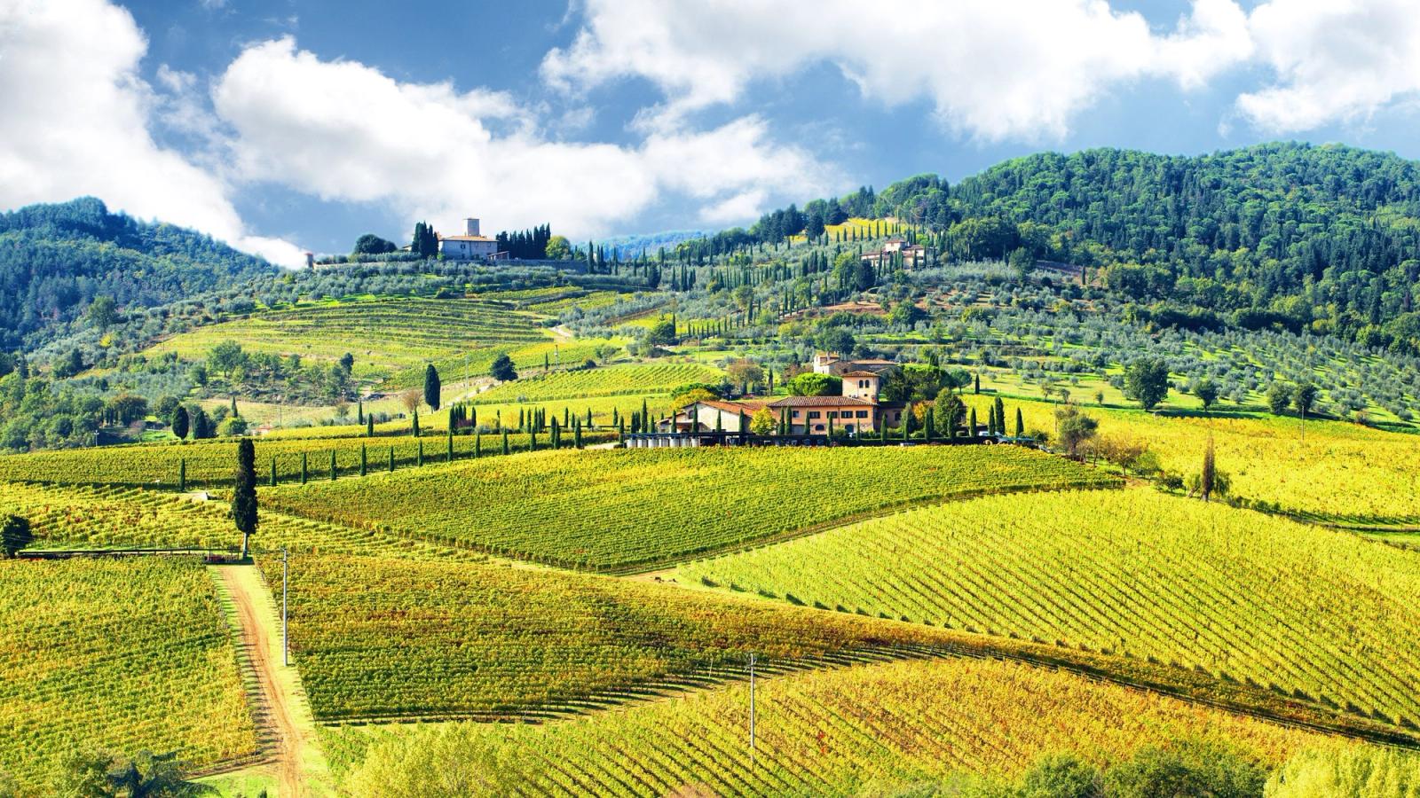 Utsikt över vingårdarna i det vackra vinområdet Chianti i Toscana