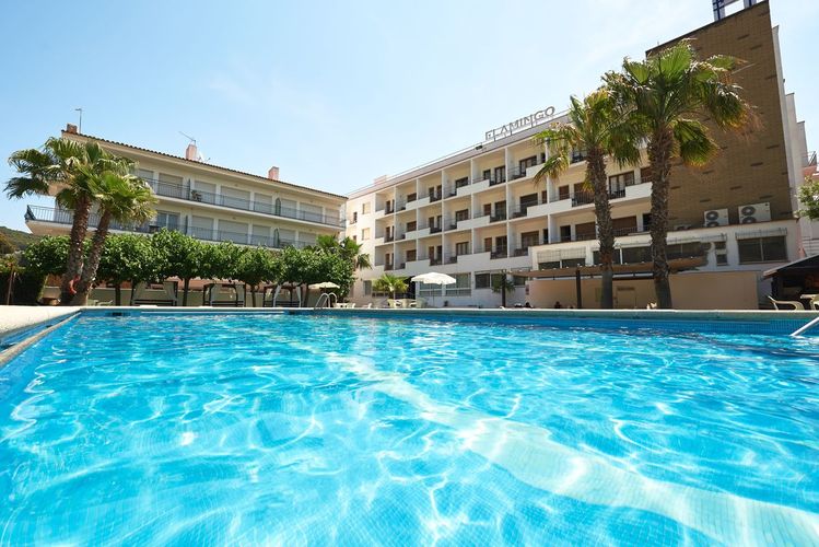 Billede av hotellet Checkin Flamingo - nummer 1 af 10