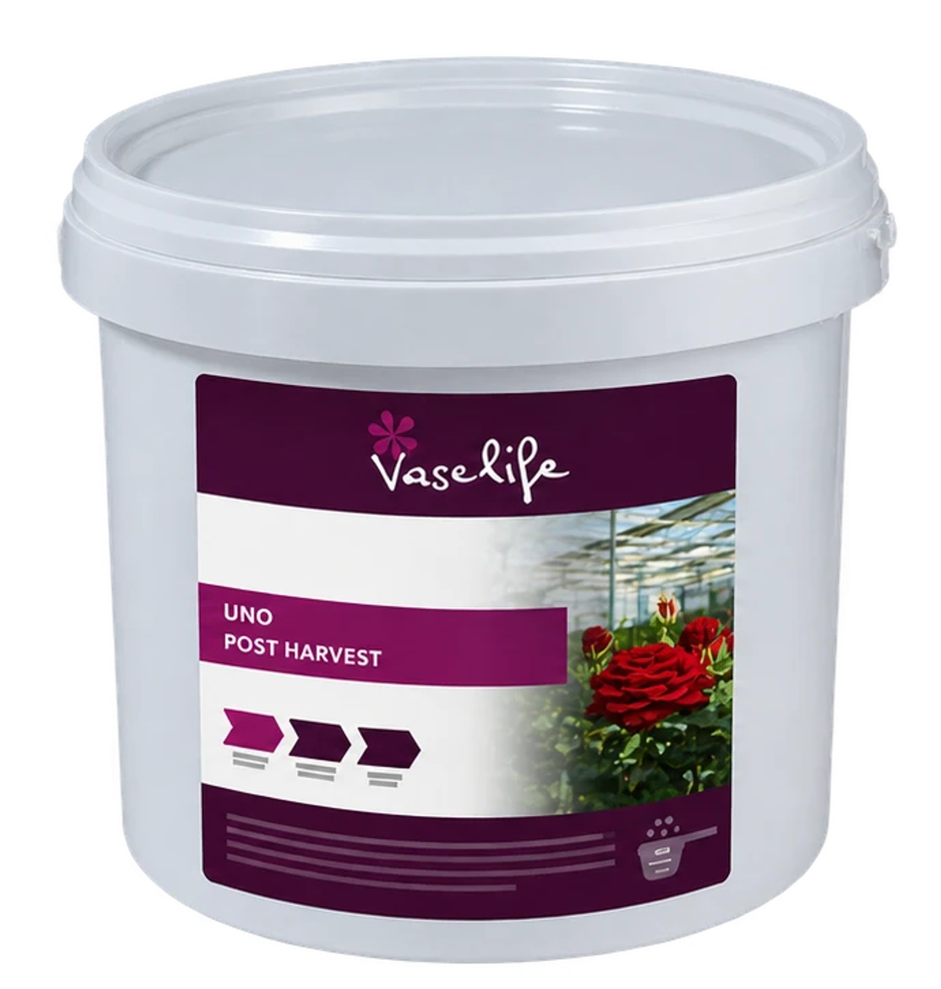 Vaselife Uno