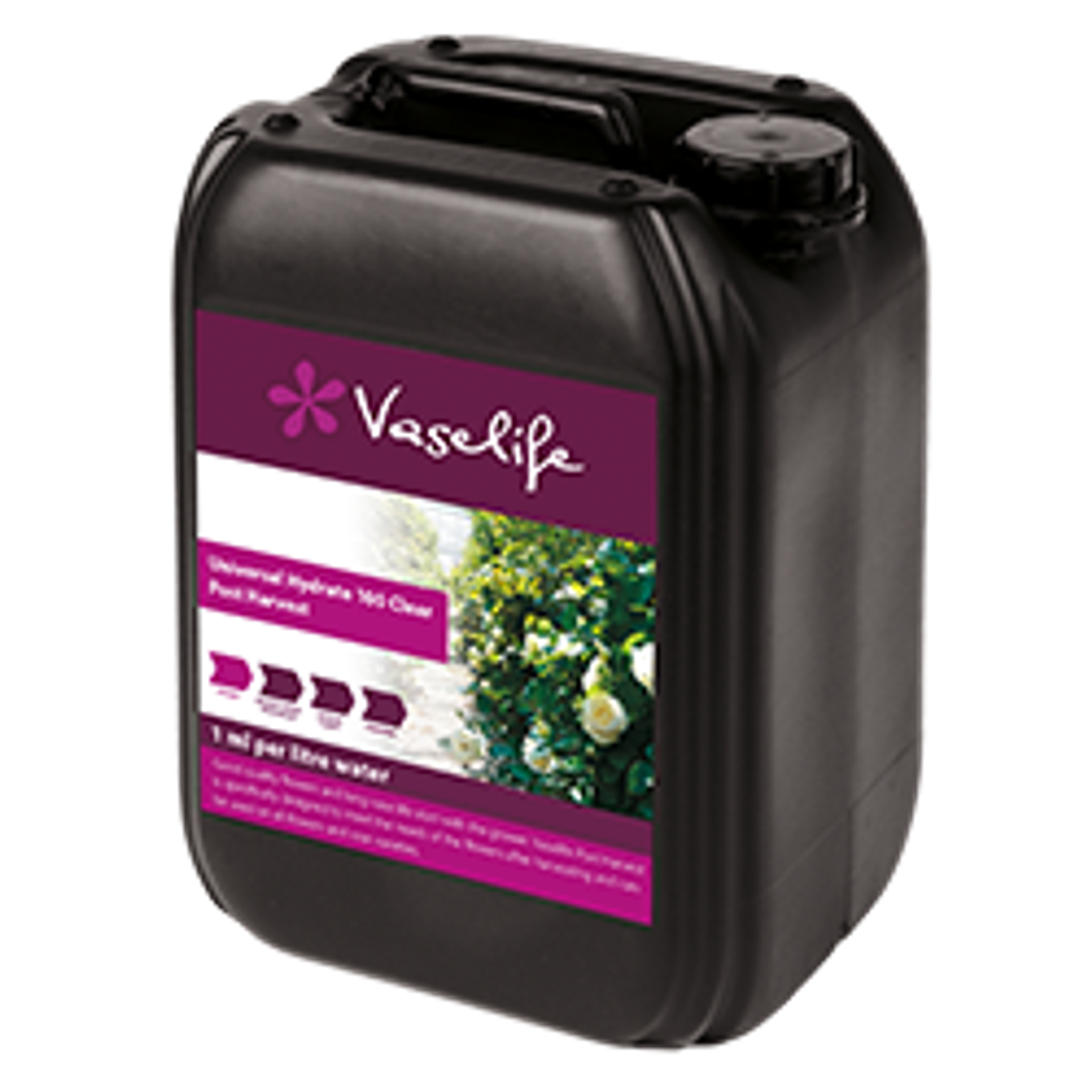 Vaselife Universal Hydrate 100 Clear