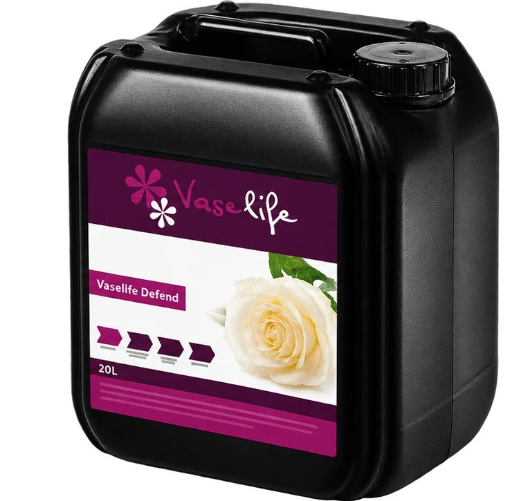 Vaselife Defend Rose Dip