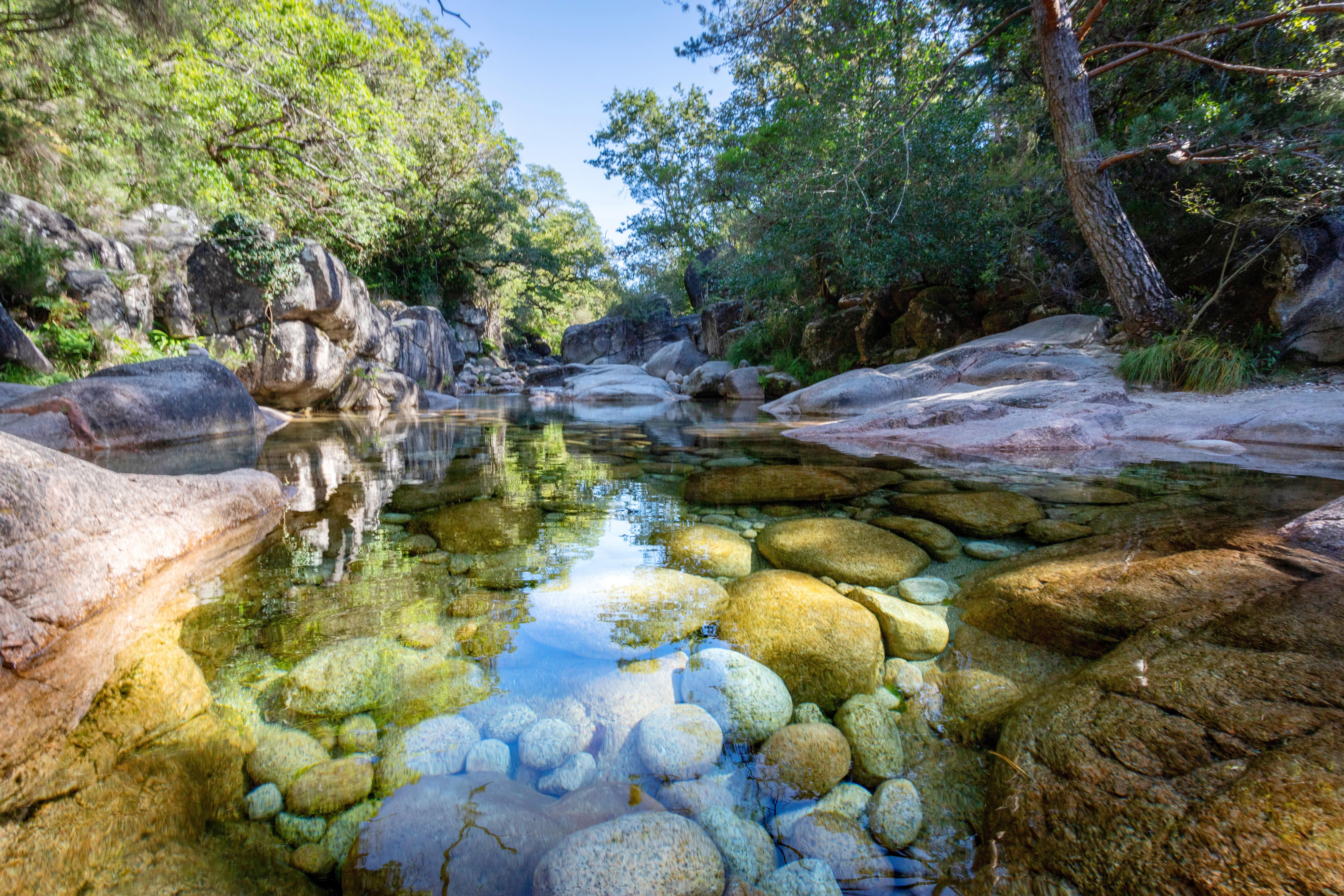 Cours d'eau aux eaux cristallines coulant entre des roches granitiques, dans un milieu de forêt méditerranéenne